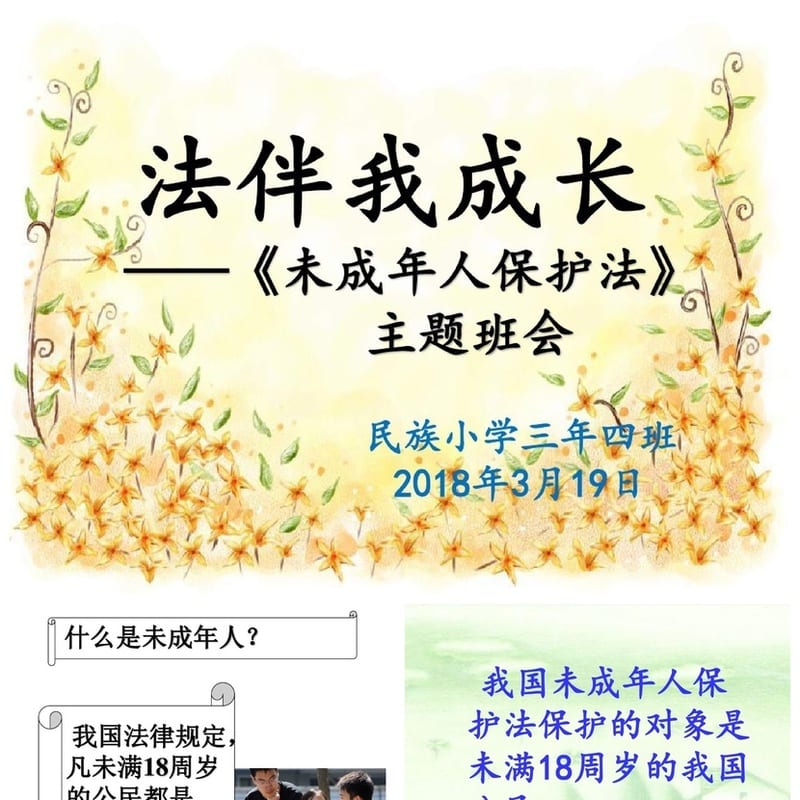 未成年人保护法PPT课件 校园法律主题班会教学资源 - 小学PPT 模板