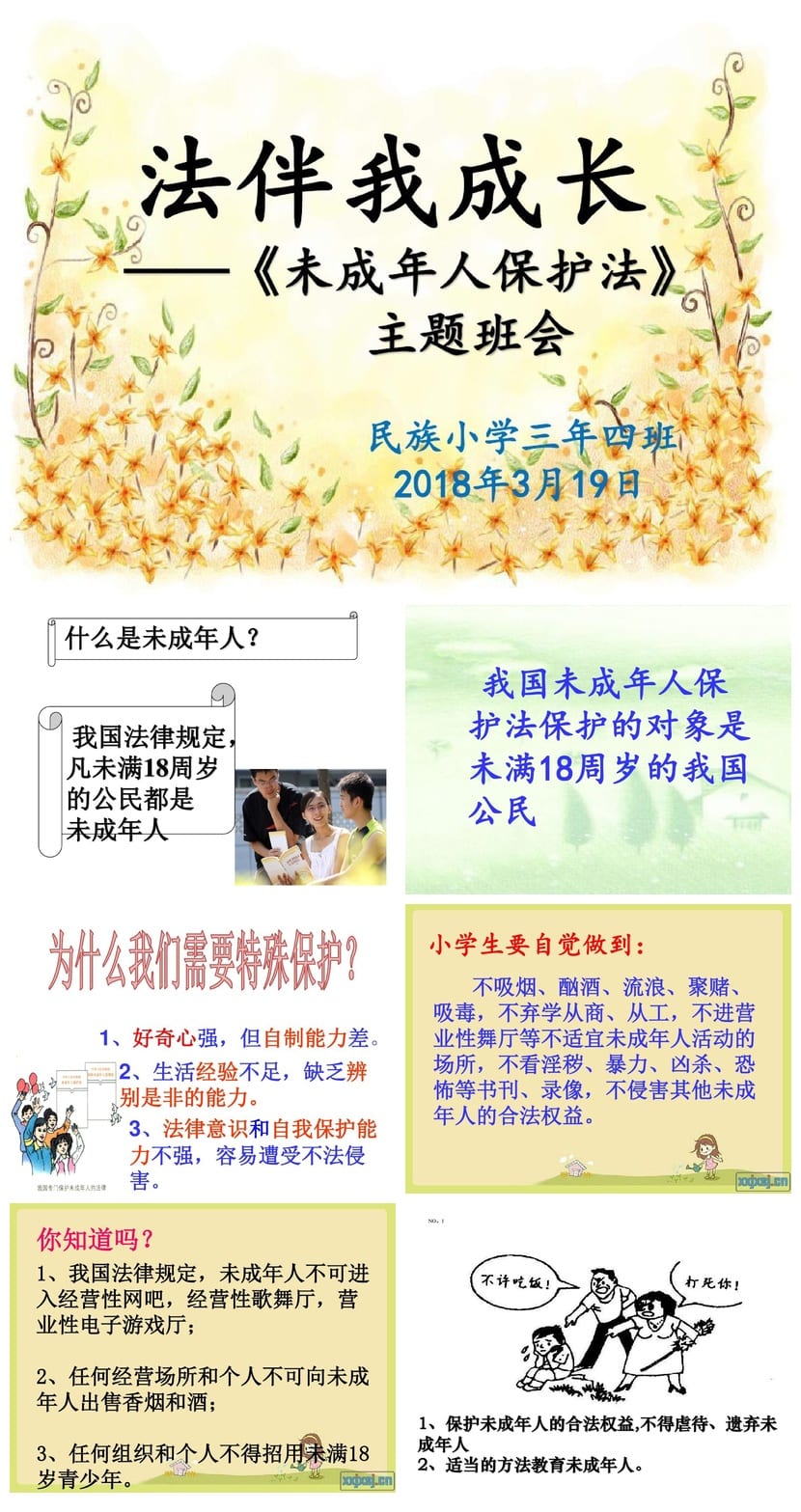未成年人保护法PPT课件 校园法律主题班会教学资源 - 第1页预览