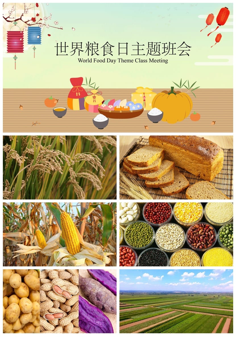 世界粮食日主题班会PPT模板 通用班会课件ppt可编辑 - 第1页预览