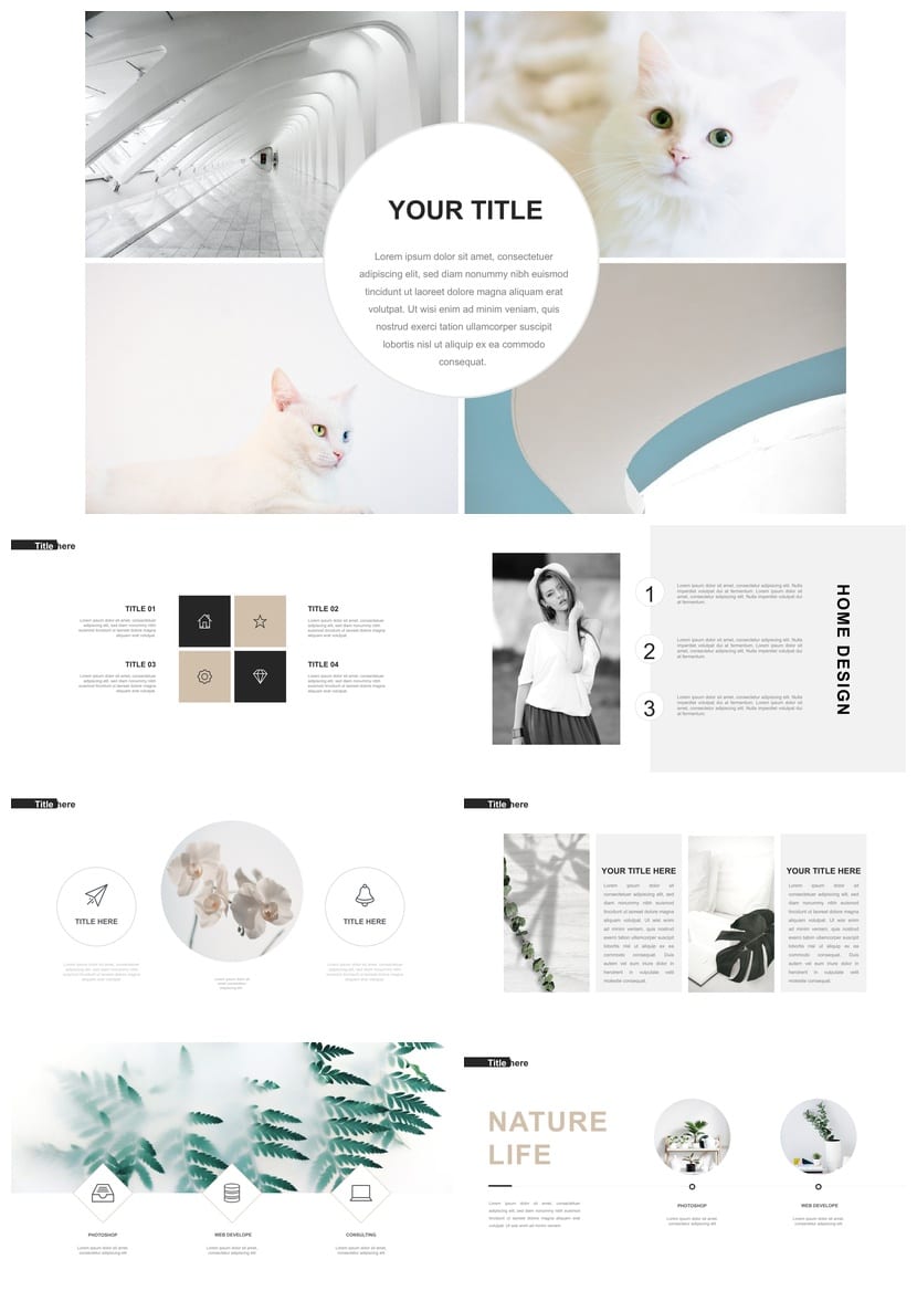 北京大学 开题报告答辩PPT模板 毕业答辩极简风 环境艺术素材 - 第2页预览