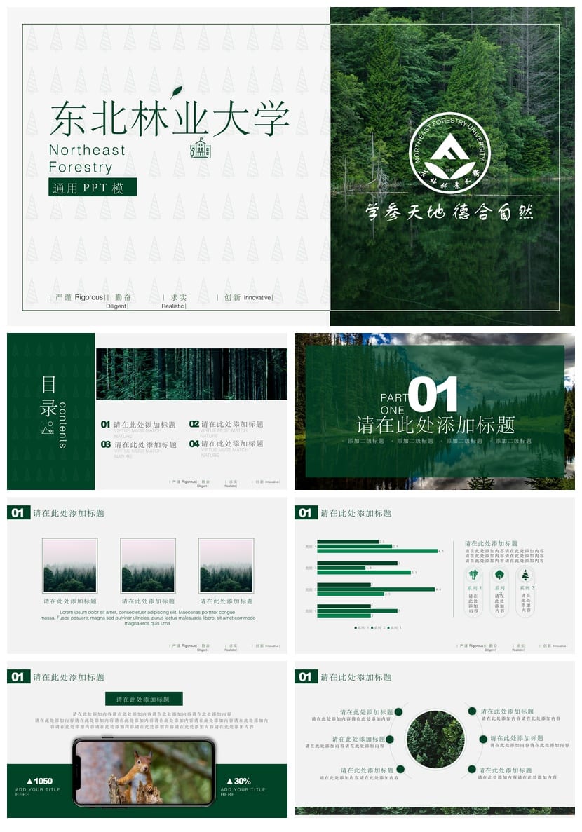 东北林业大学 开题报告PPT模板 毕业答辩学术风素材 简约设计pptx - 第1页预览