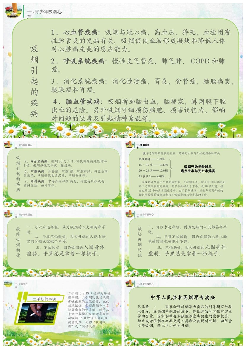 世界无烟日主题班会PPT：拒绝烟草课件 禁烟教育班会模板 - 第2页预览