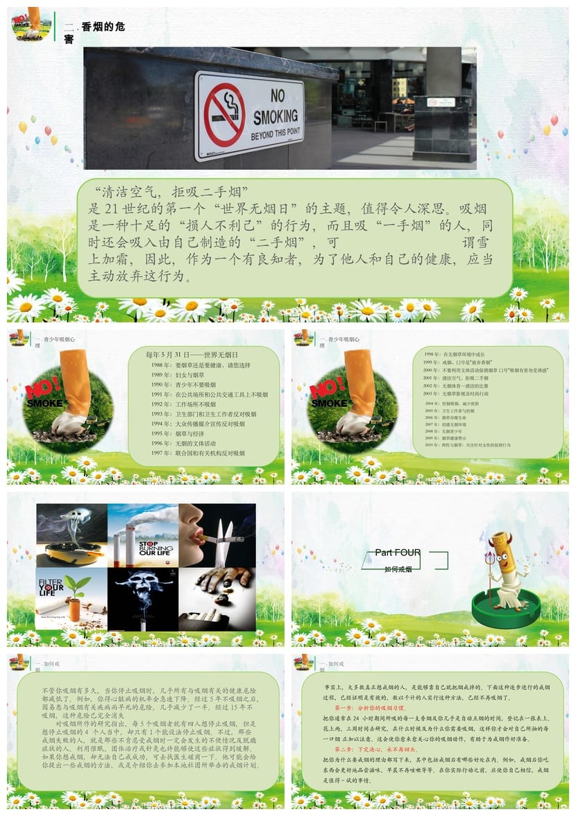 世界无烟日主题班会PPT：拒绝烟草课件 禁烟教育班会模板 - 第3页预览