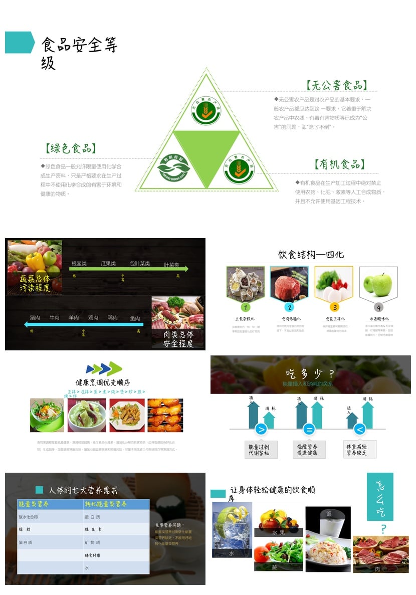 健康饮食PPT模板 营养膳食指南 饮食与健康课件素材 - 第3页预览