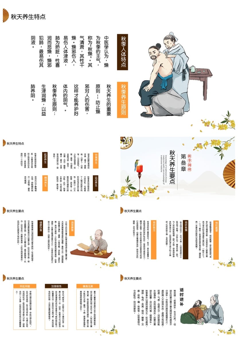 中医养生PPT模板 中医保健小常识宣讲素材 中医课件设计 - 第2页预览