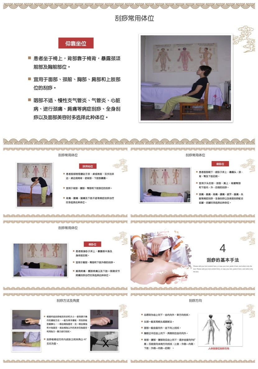 中医养生PPT模板 健康保健食疗药膳中医理论课件素材 - 第3页预览