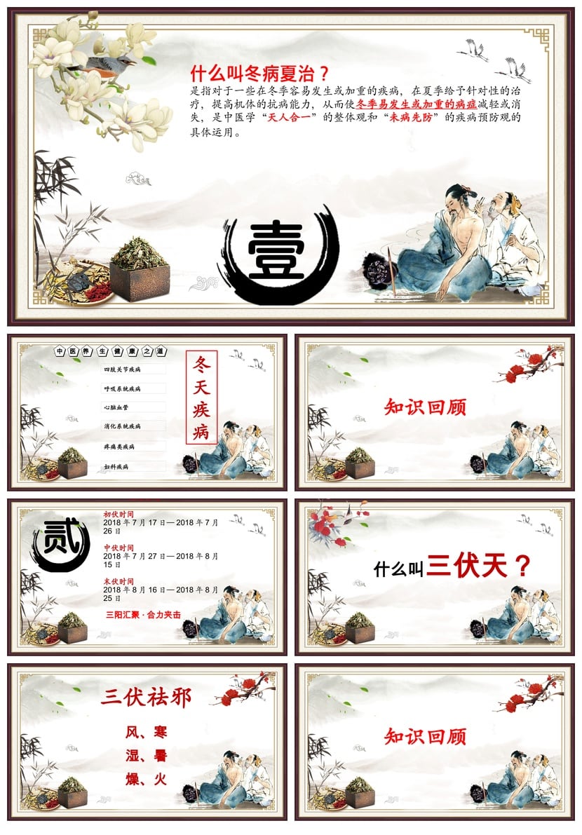 中医养生PPT模板 专业培训课件素材 健康知识教学资料 - 第2页预览