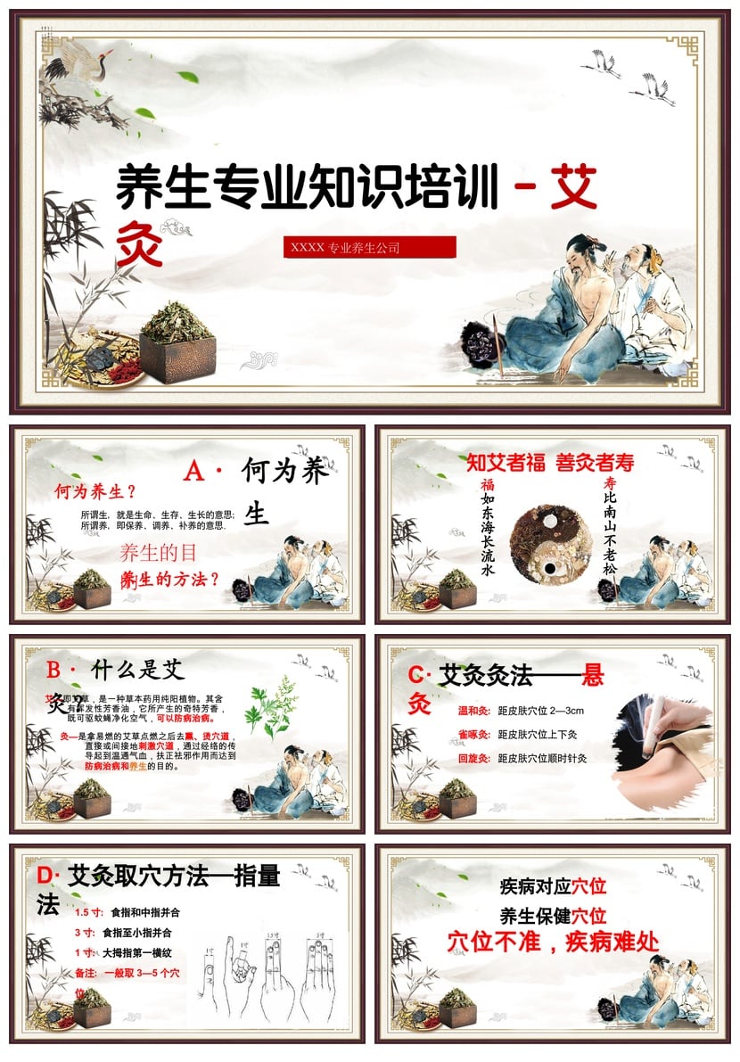 中医养生PPT模板 专业培训课件素材 健康知识教学资料 - 第3页预览