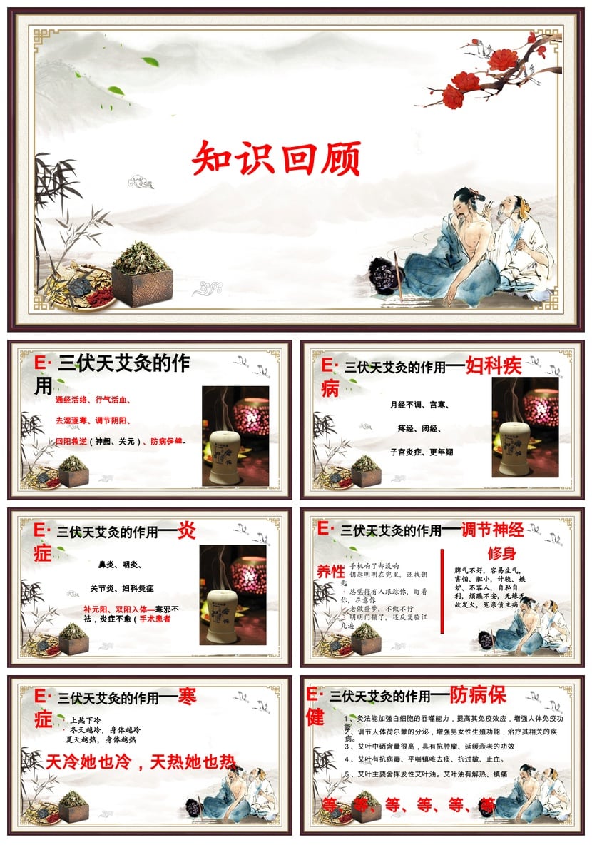 中医养生PPT模板 专业培训课件素材 健康知识教学资料 - 第4页预览