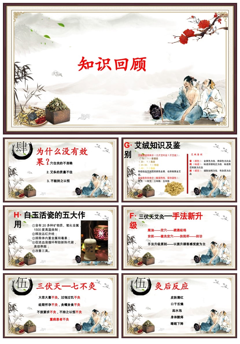 中医养生PPT模板 专业培训课件素材 健康知识教学资料 - 第5页预览