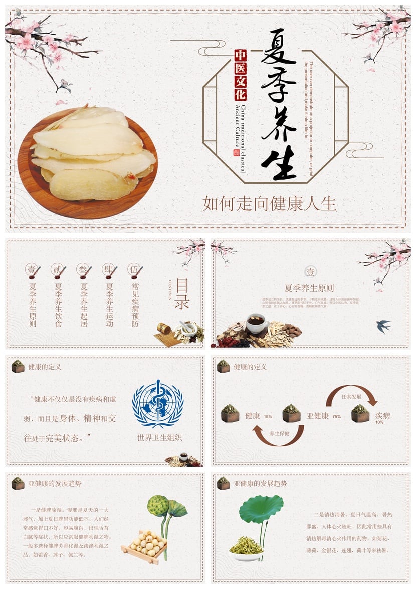 中医养生PPT模板素材 健康管理知识讲座培训课件走向健康人生指南 - 第1页预览