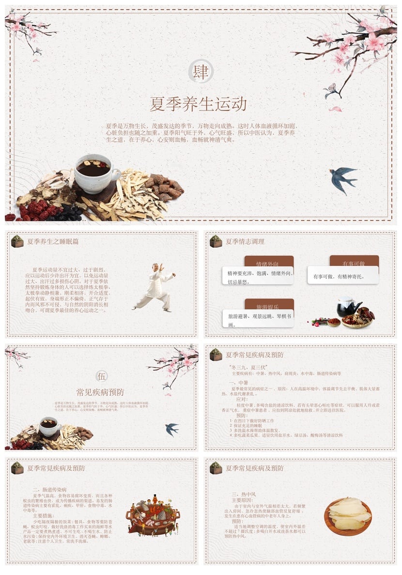 中医养生PPT模板素材 健康管理知识讲座培训课件走向健康人生指南 - 第4页预览