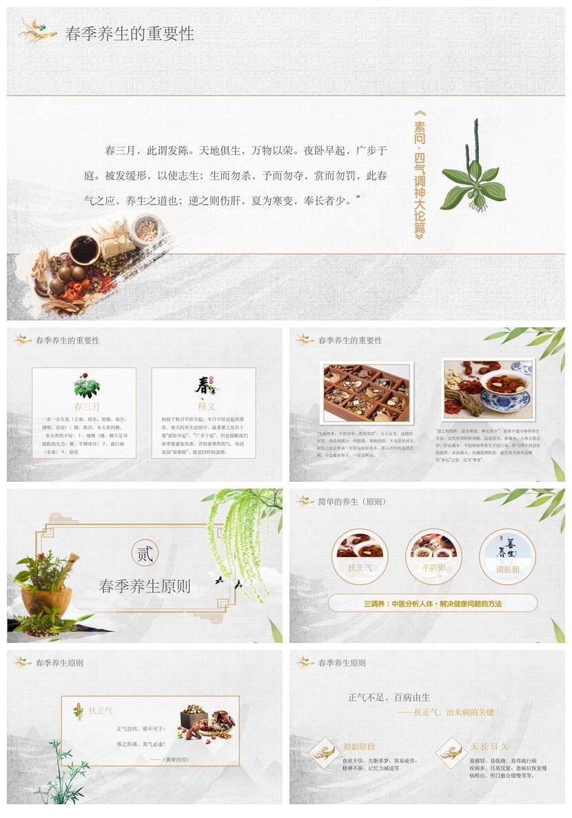 中医养生PPT模板 健康食疗保健课件素材 中医药文化主题幻灯片 - 第2页预览