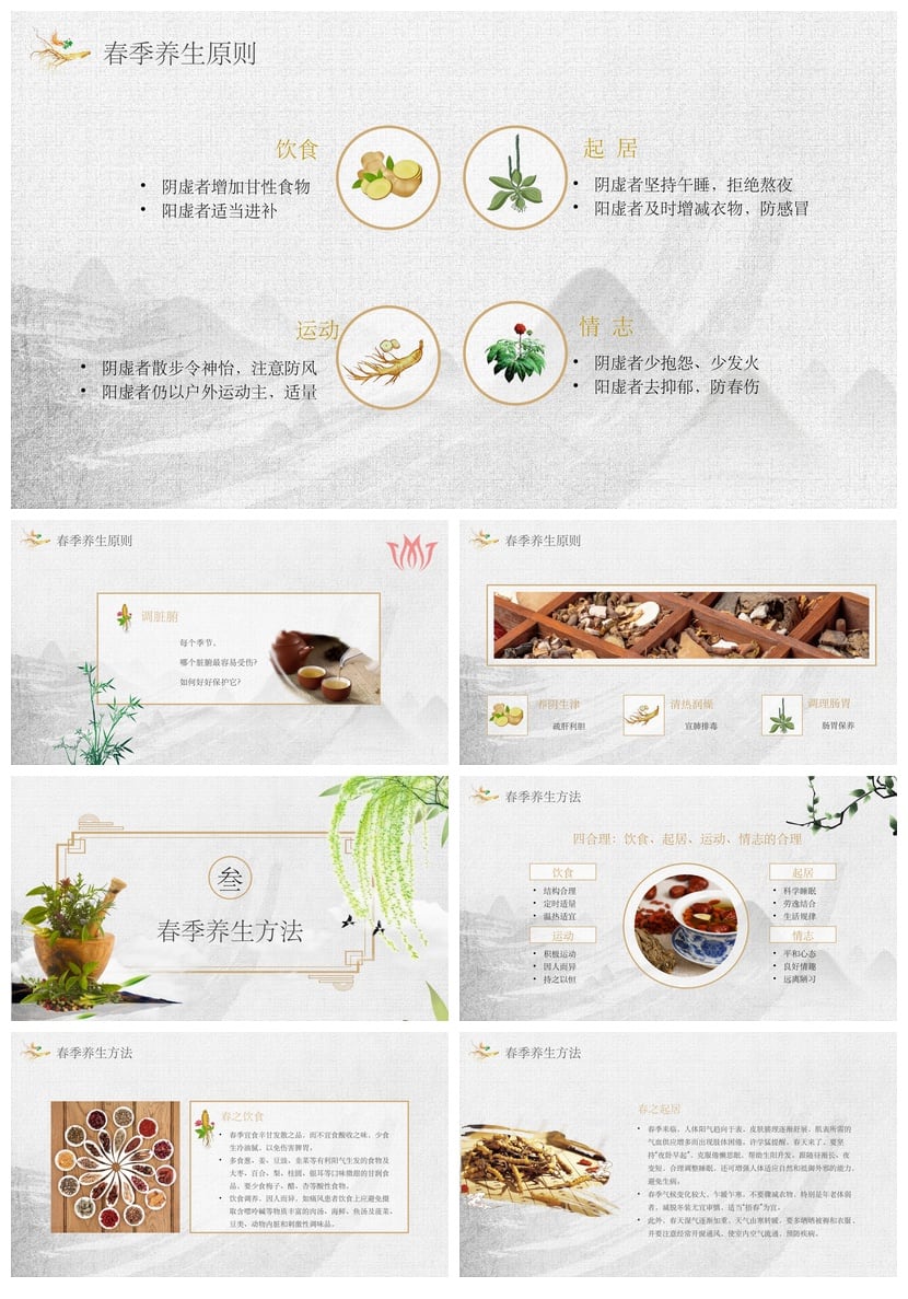 中医养生PPT模板 健康食疗保健课件素材 中医药文化主题幻灯片 - 第4页预览