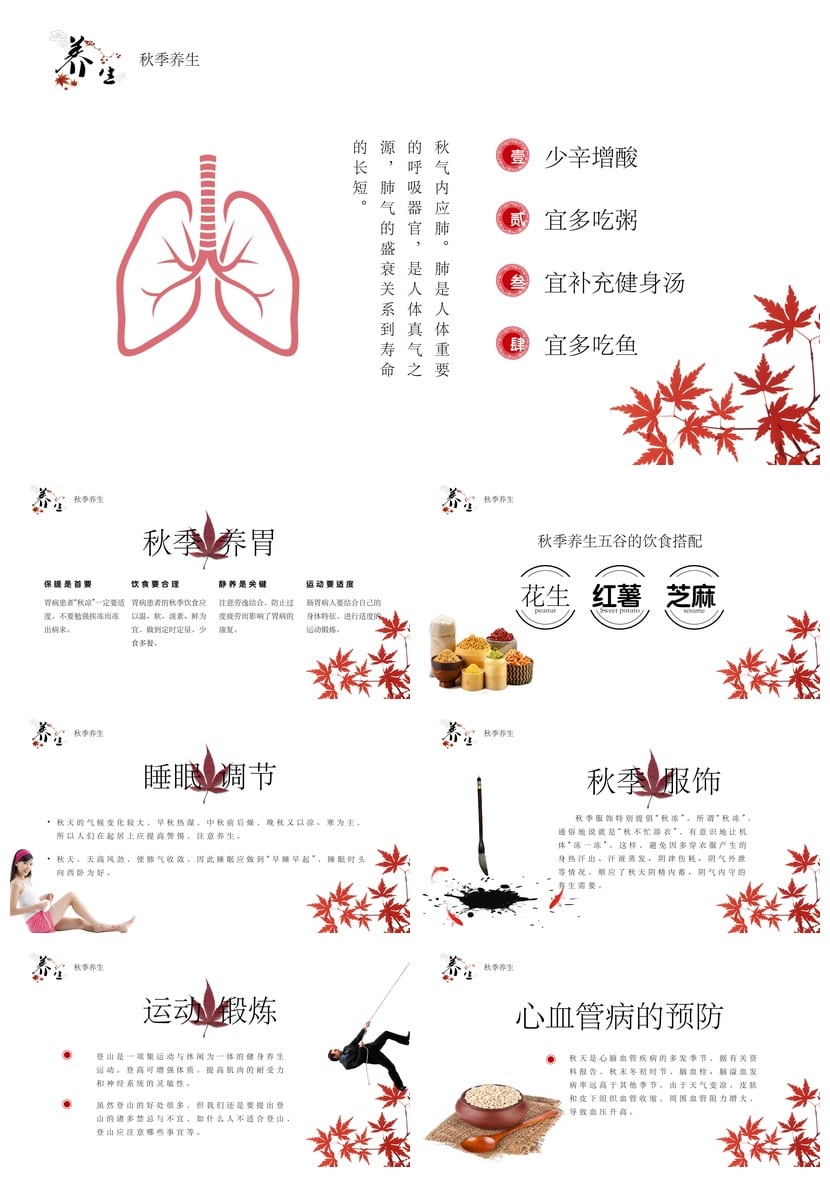中医养生PPT模板秋季讲座素材 白露秋分节气养生保健 - 第2页预览