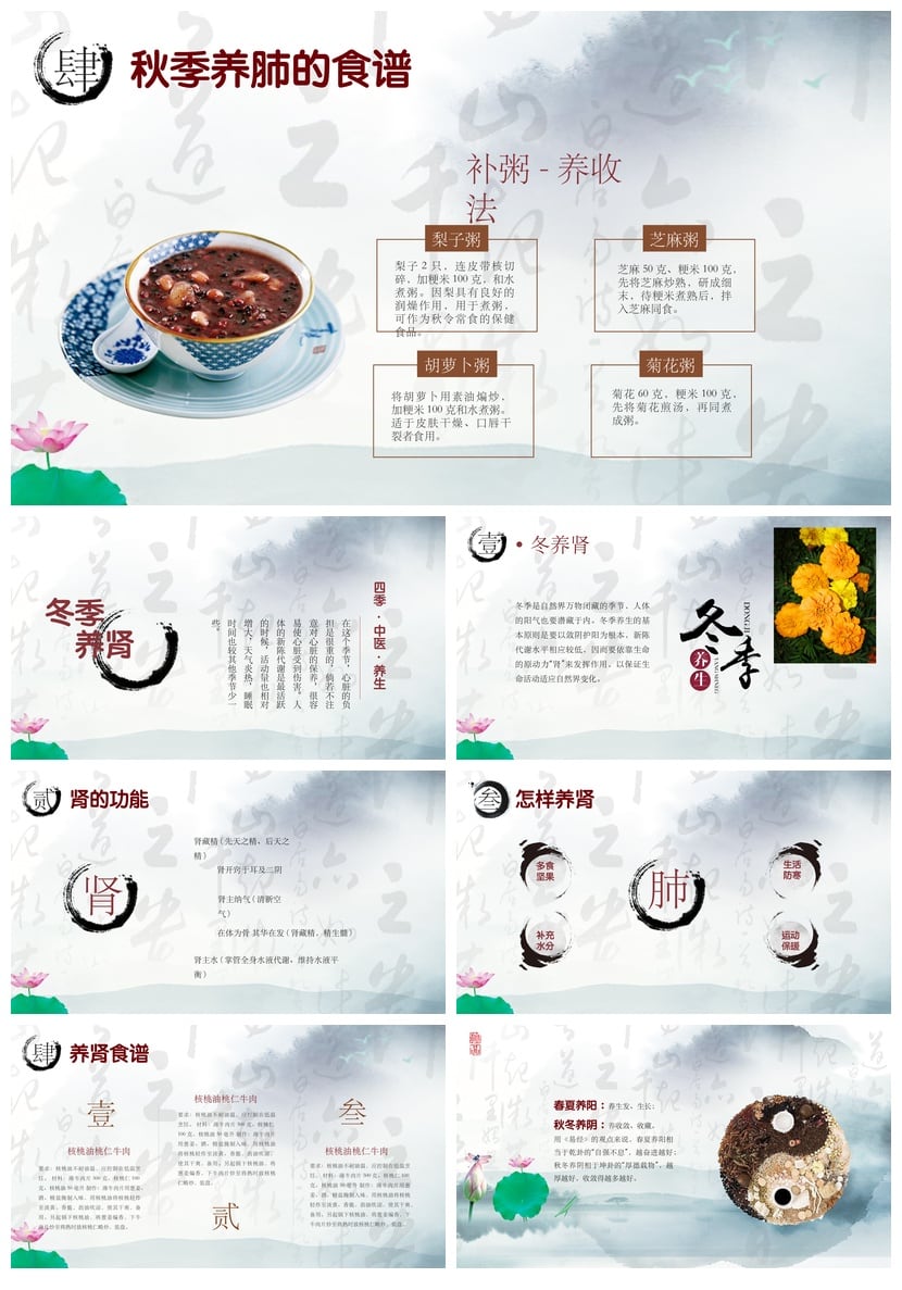 中医养生PPT模板 四季调理与节气保健素材 - 第5页预览