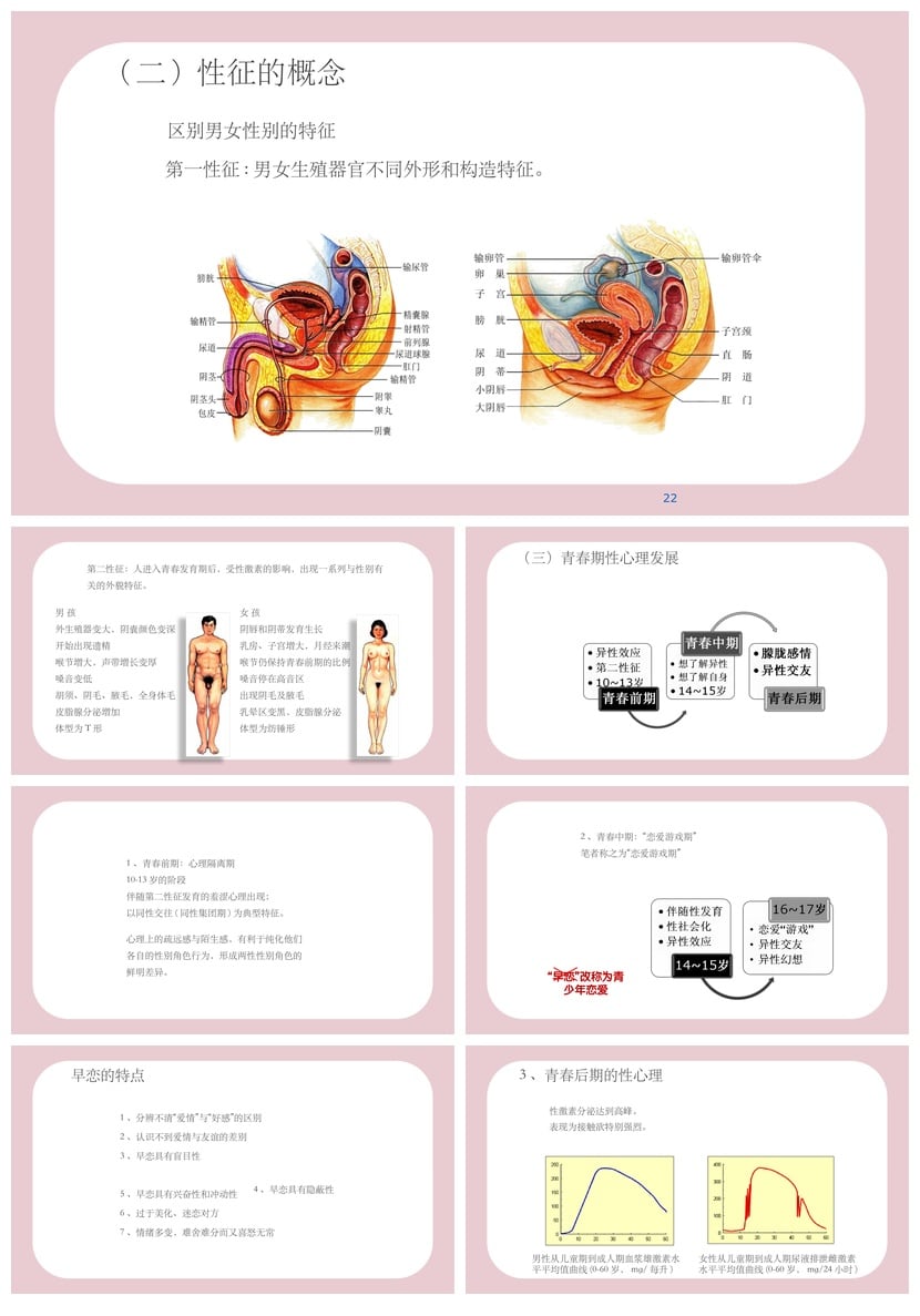 小学生教育PPT模板 青春期性健康教育课件素材 - 第4页预览