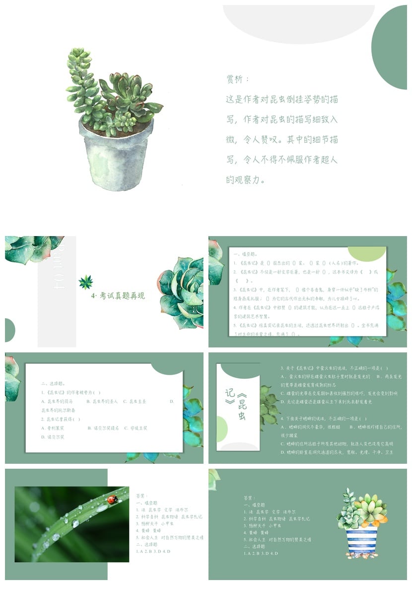 《昆虫记》PPT读书模板 名著导读课件素材 法布尔昆虫记读书模板 - 第3页预览