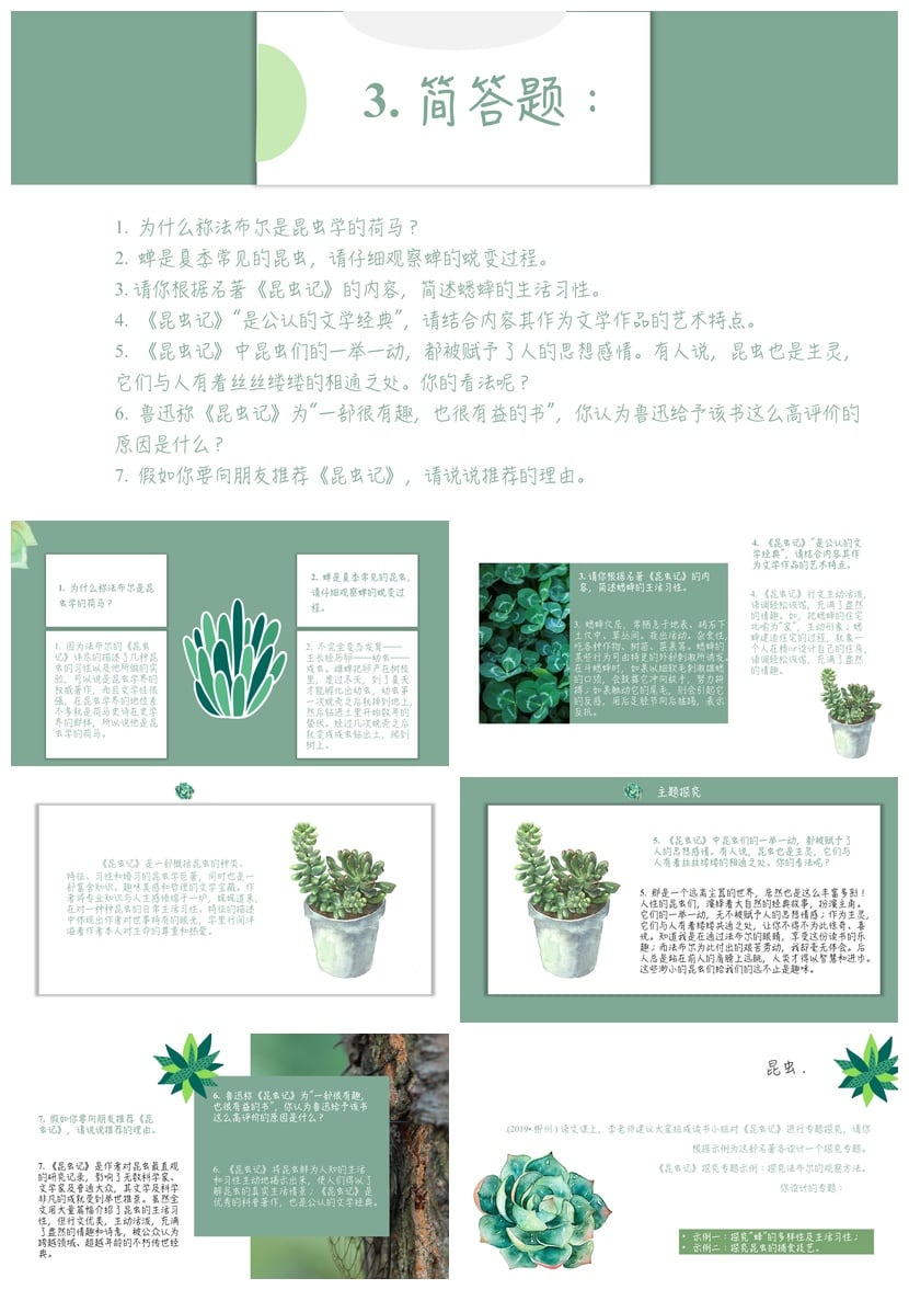 《昆虫记》PPT读书模板 名著导读课件素材 法布尔昆虫记读书模板 - 第4页预览