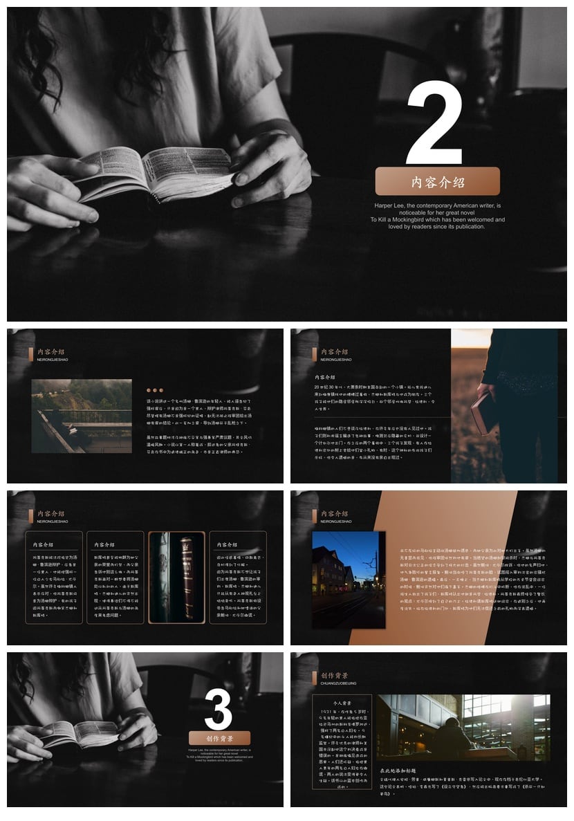 读书笔记PPT模板|《杀死一只知更鸟》主题素材 - 第2页预览