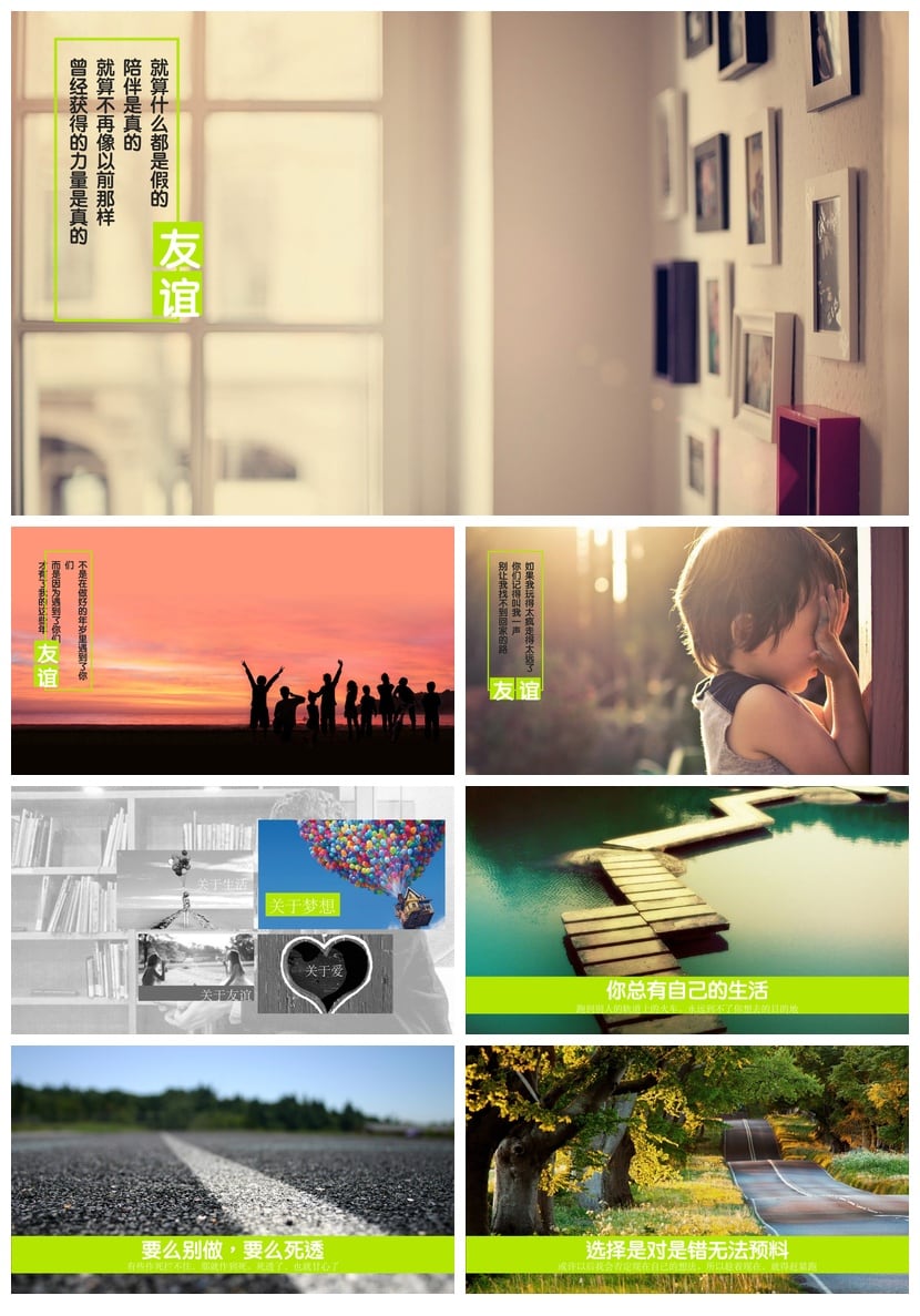 《愿有人陪你颠沛流离》读书笔记PPT模板 卢思浩读书素材 精美 - 第2页预览